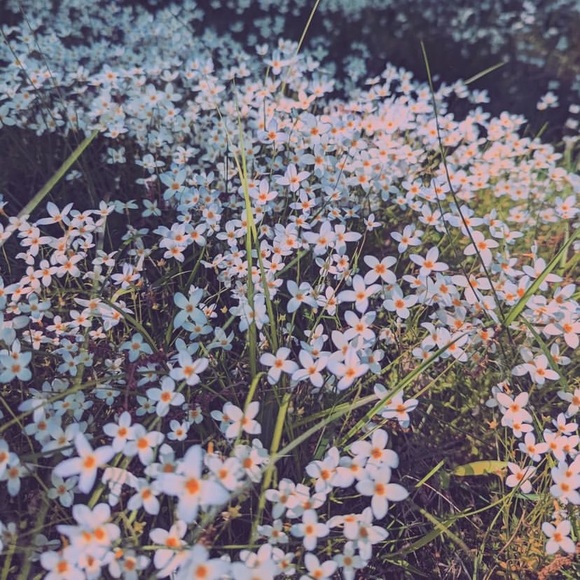 ** Custom Order for Angelsofdeath ** - Picture 1 of 3